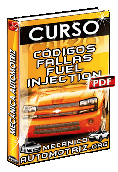 Curso de Códigos de Fallas Fuel Inyection