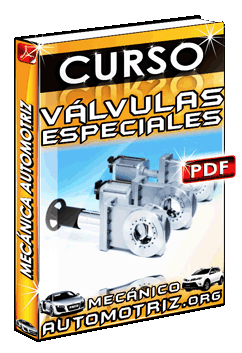 Curso de Válvulas Especiales